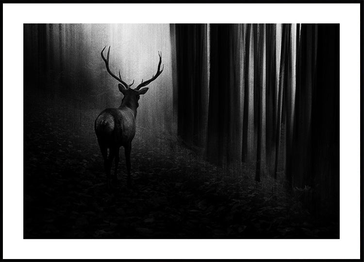Cerf