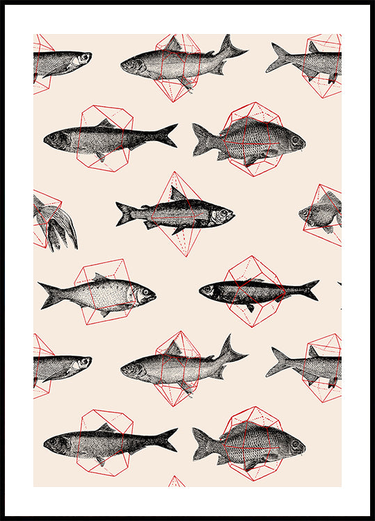 Poissons en géométrie Nº4 Poster
