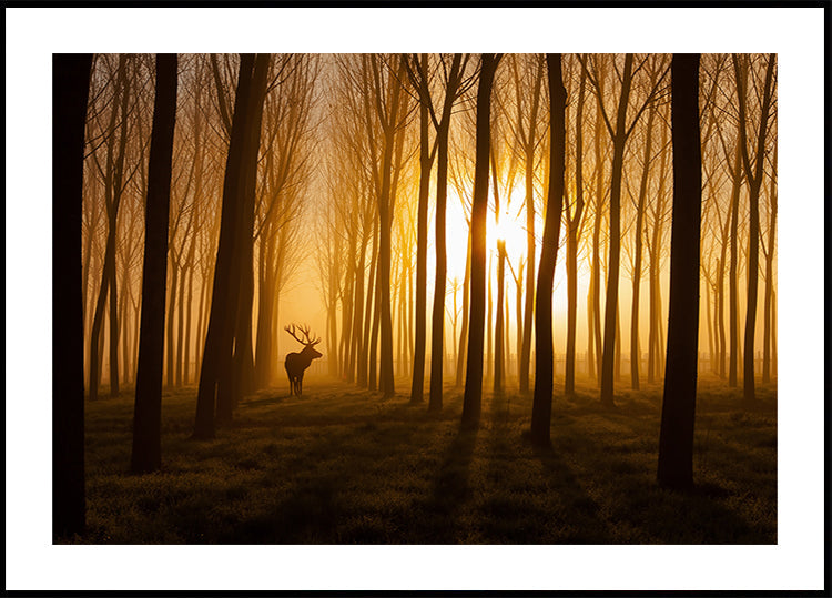 Il était une fois affiche