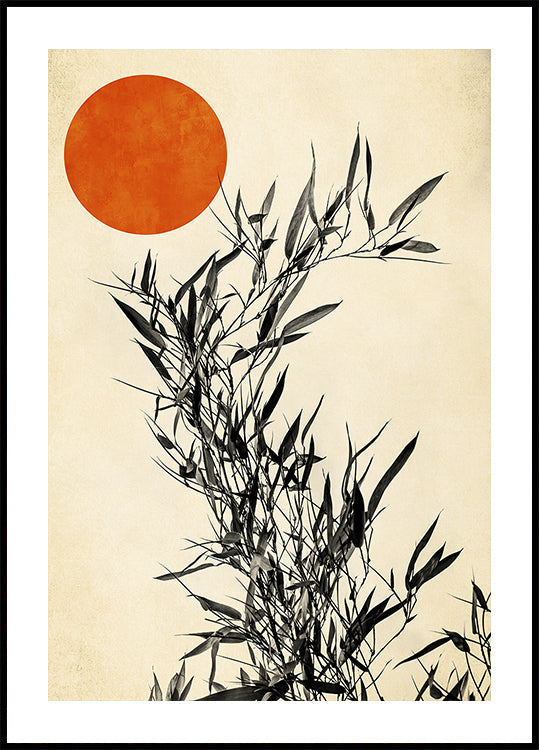 Bouleau du Japon (NOUVEAU)