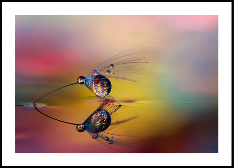Coloriser l'obscurité
