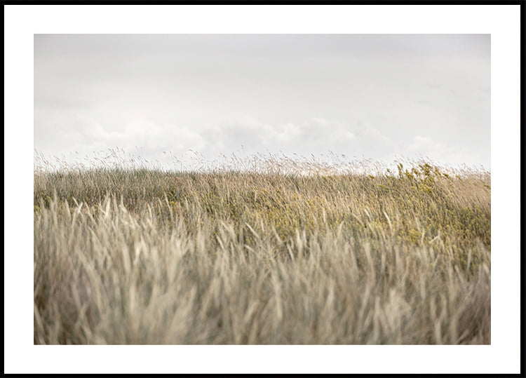 Dunes et nuages 2
