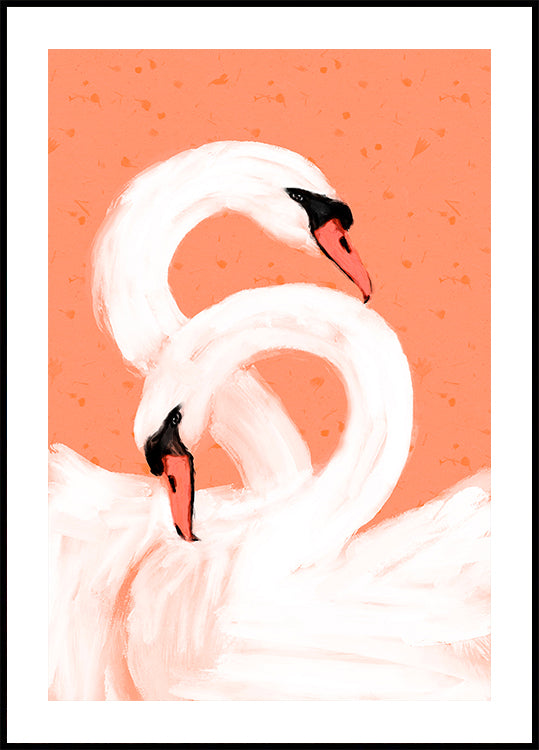 Cygnes gracieux