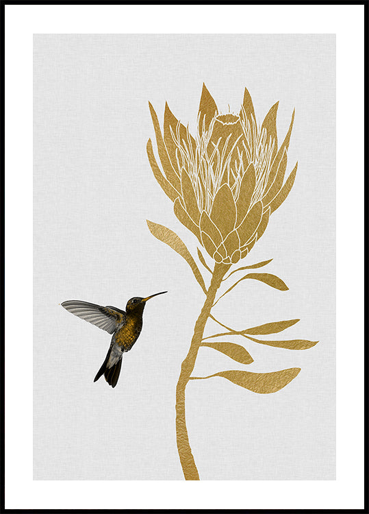 Colibri et fleur dans Poster