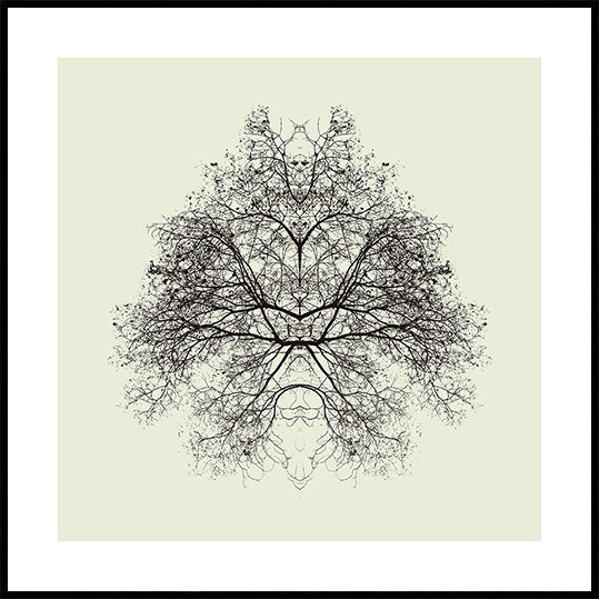 Test de Rorschach Poster
