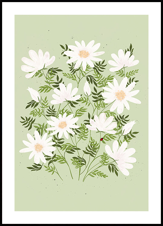 Fleurs de coccinelle