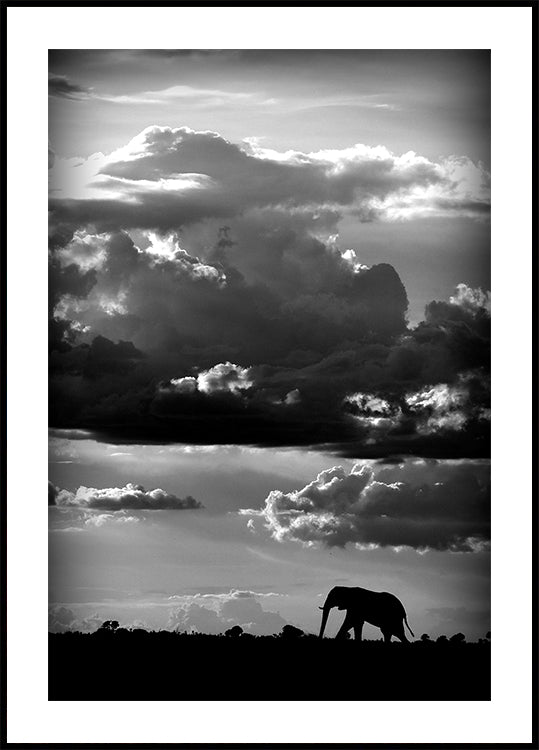 Il marche sous un ciel africain