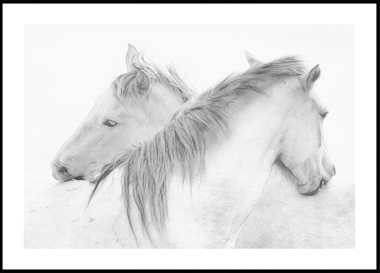 Chevaux