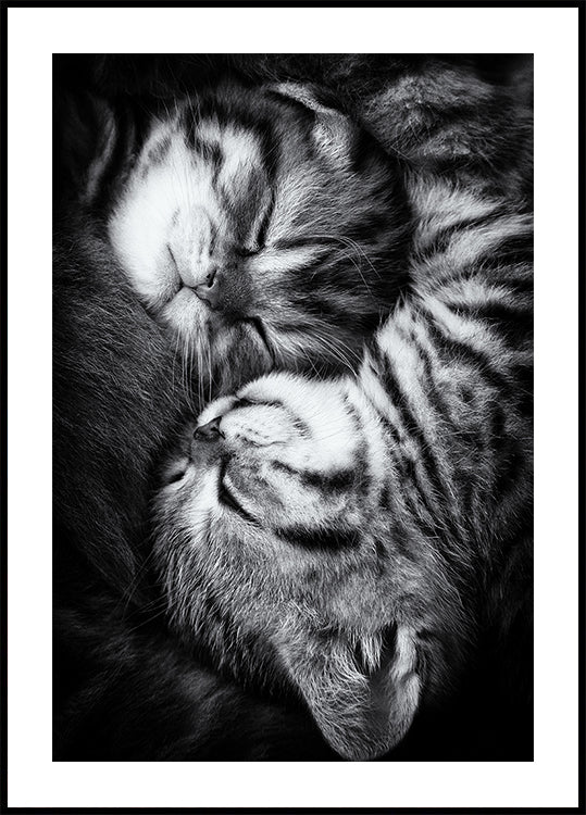 Yin et Yang