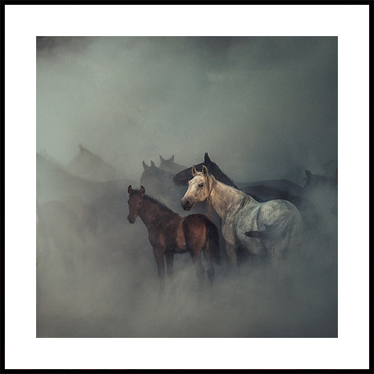 Les chevaux perdus Poster