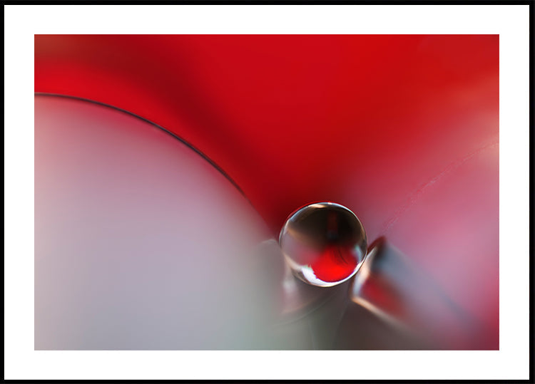 Entre Poster