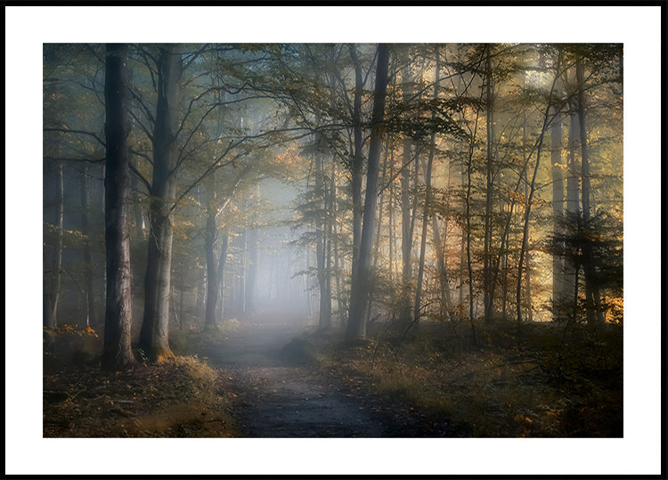 symphonie d'automne Poster