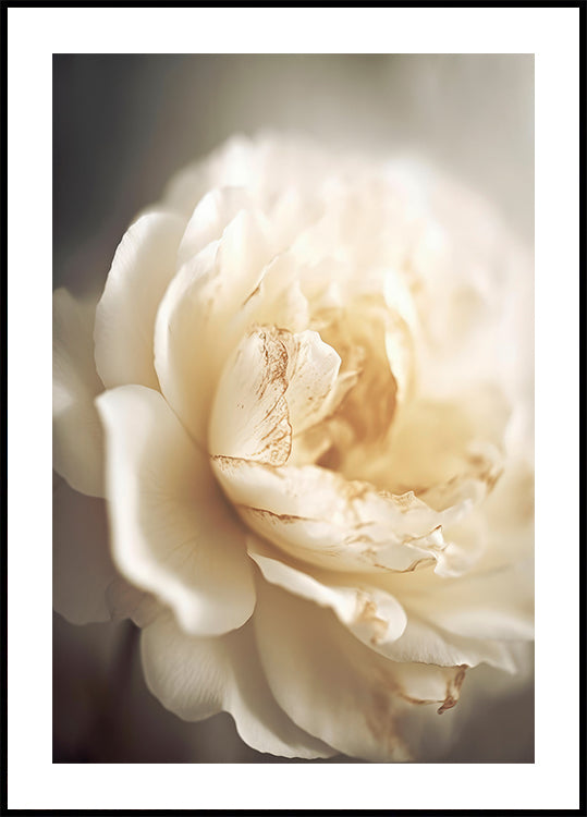 Floraison éthérée