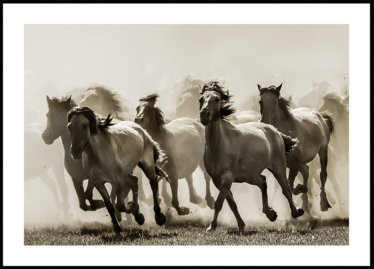 Cheval