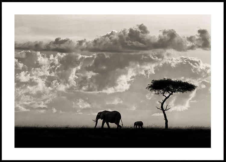 Silhouettes de Mara