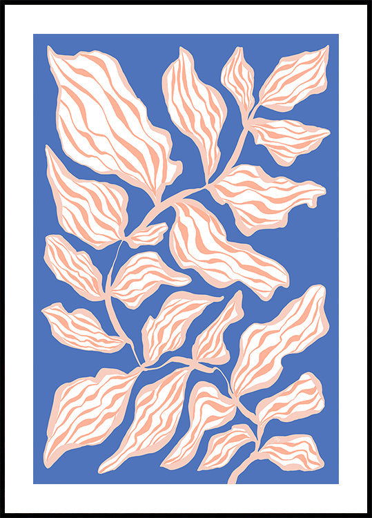 Gloire du soir (NOUVEAU)