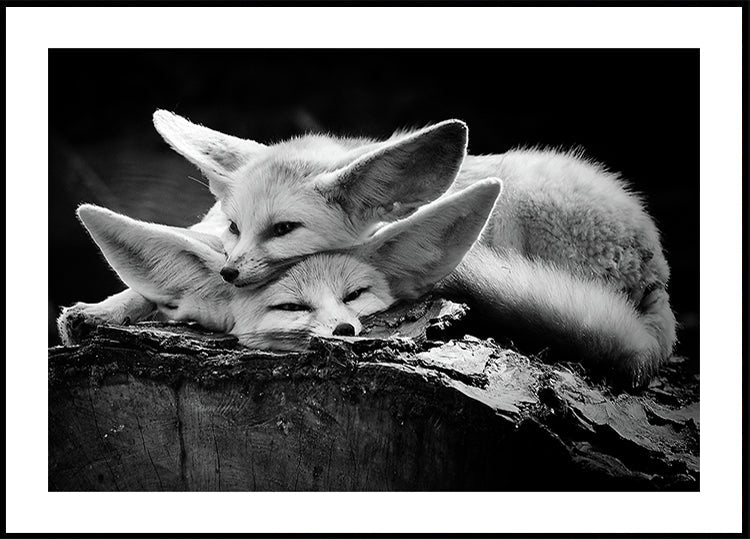 Le couple heureux
