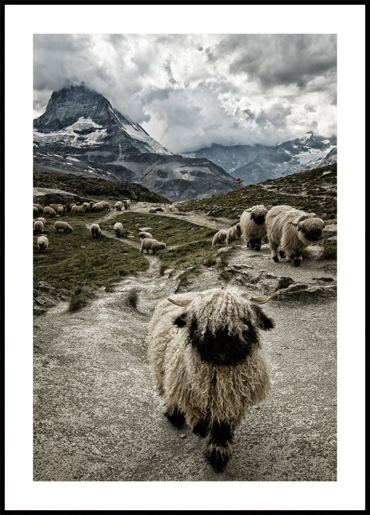 Hors de mon chemin Poster