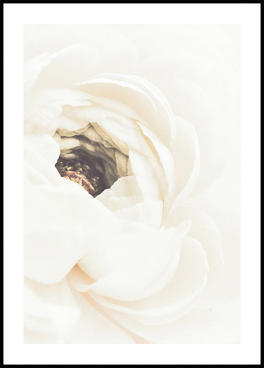 Fleur blanche n ° 1 Poster