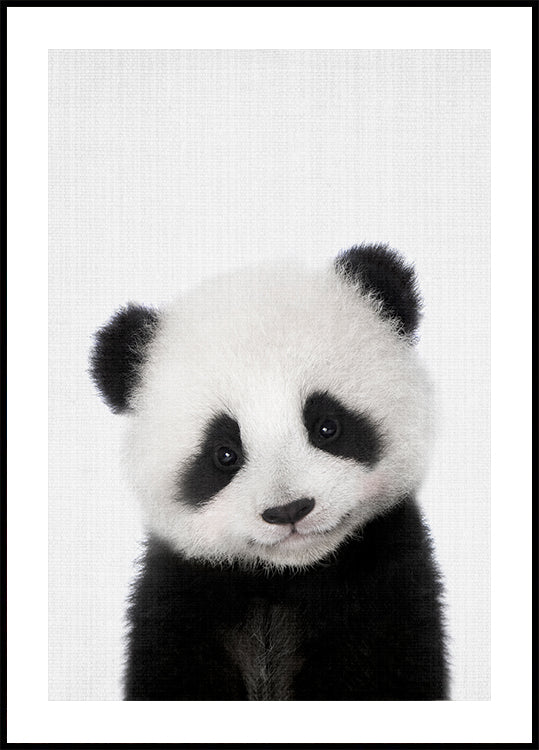Coucou bébé panda