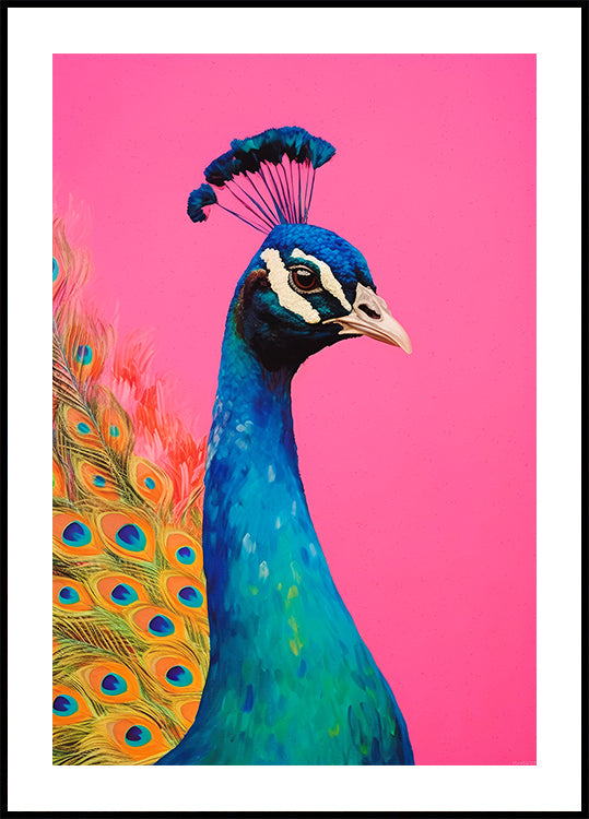Vibrance du paon