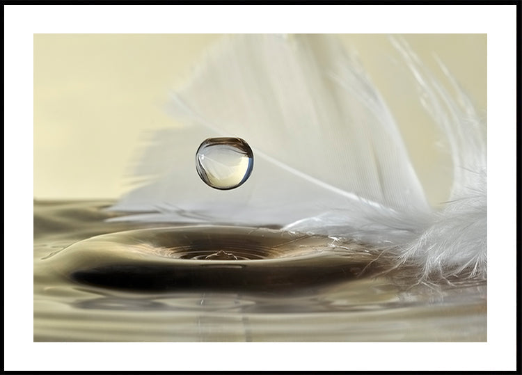 Chute de plume