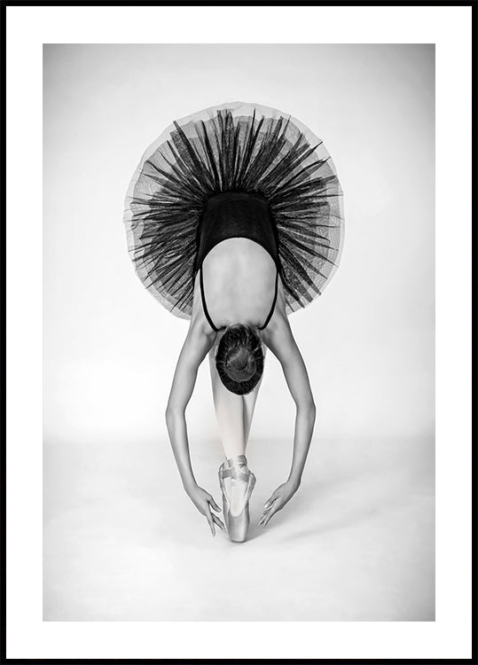 Technique de ballet Poster