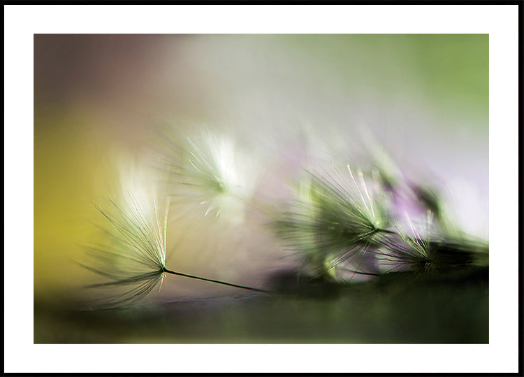 Le matin