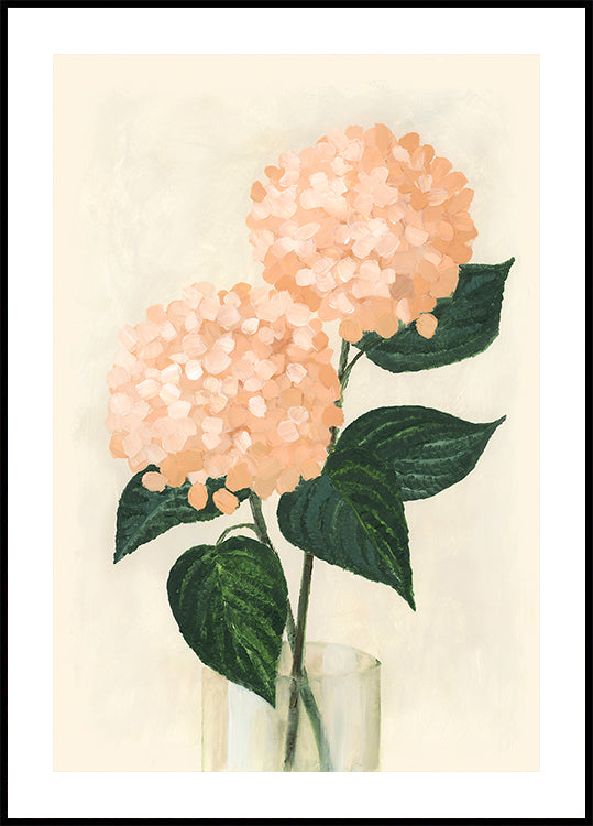 Hortensias corail dans un vase