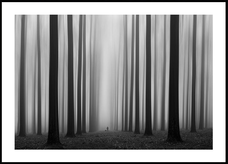 Labyrinthe