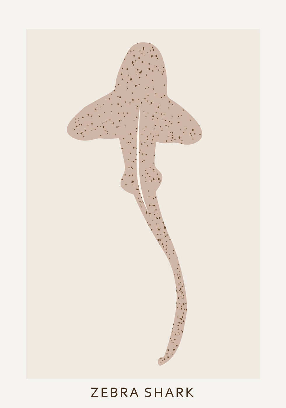 Zebra Shark Plakat - Posterbox.dk
