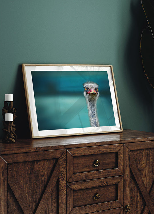 Autruche protégeant deux pauvres poulets du vent