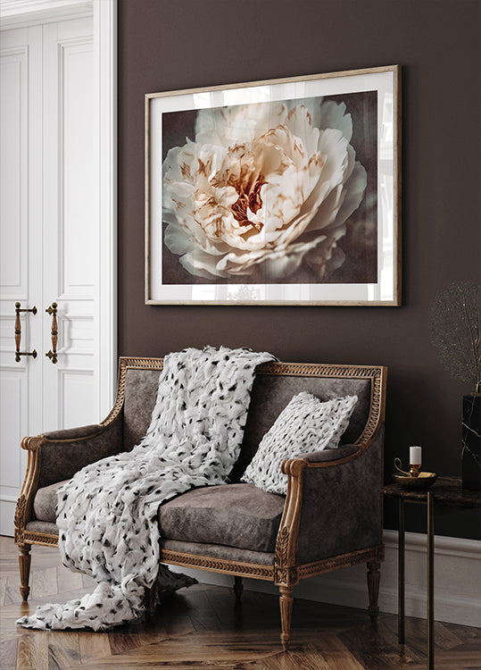 Pétales de sérénité