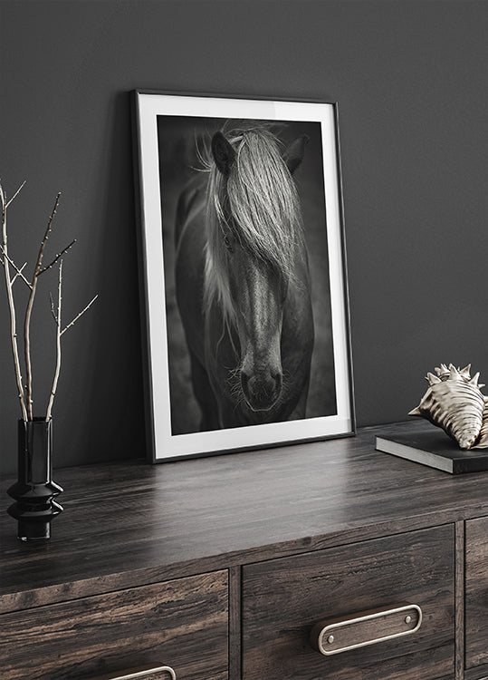 Mec de surf alpin Poster