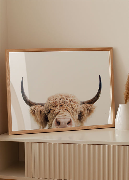 Vache furtivement Poster