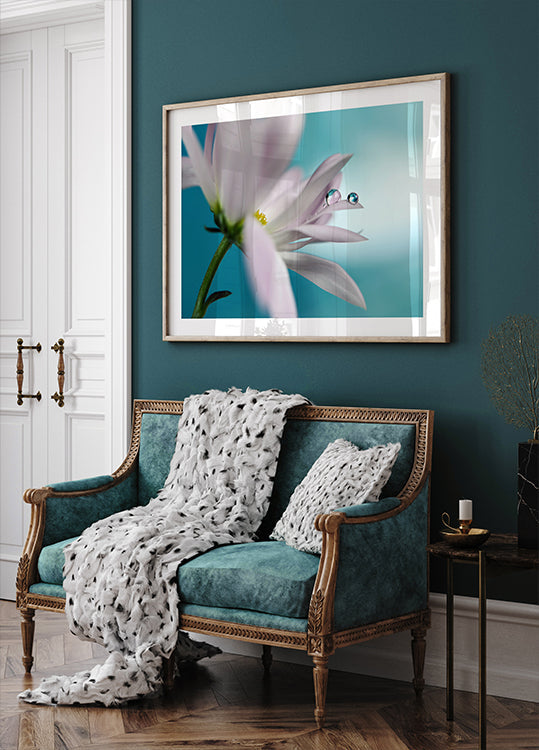 En compagnie turquoise