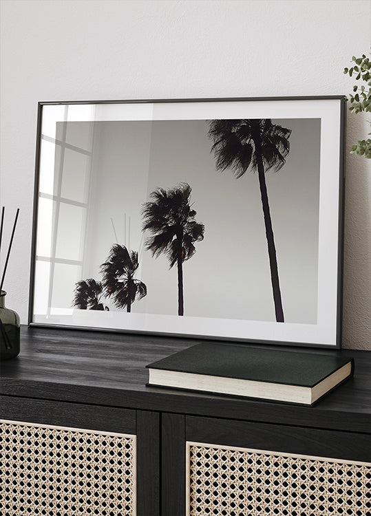 Palme_004