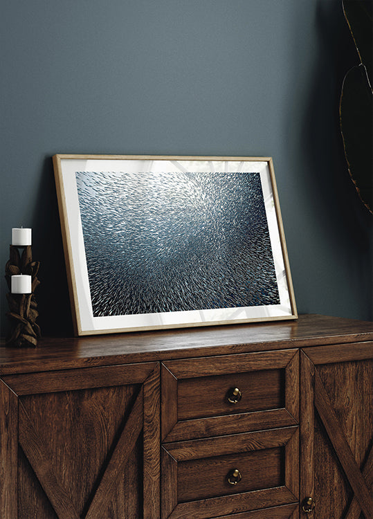 Feu d'artifice de sardines