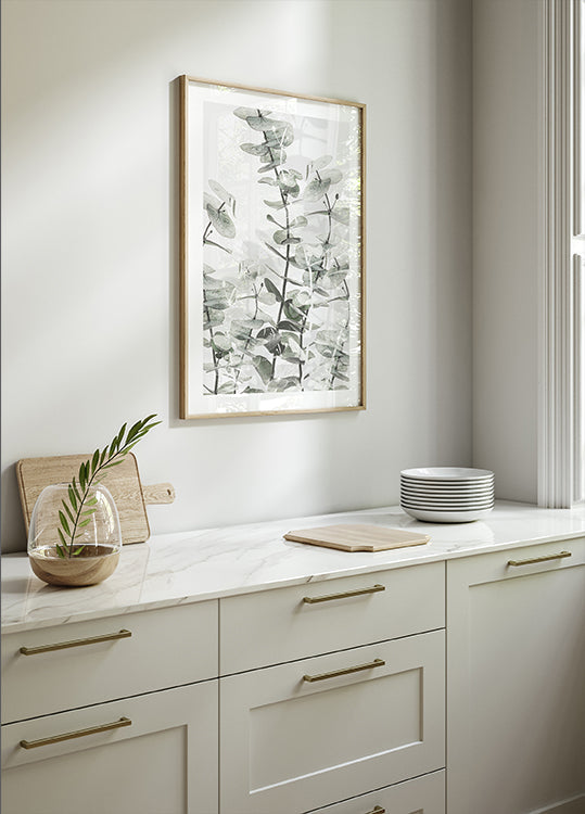 Eucalyptus n°3 Poster