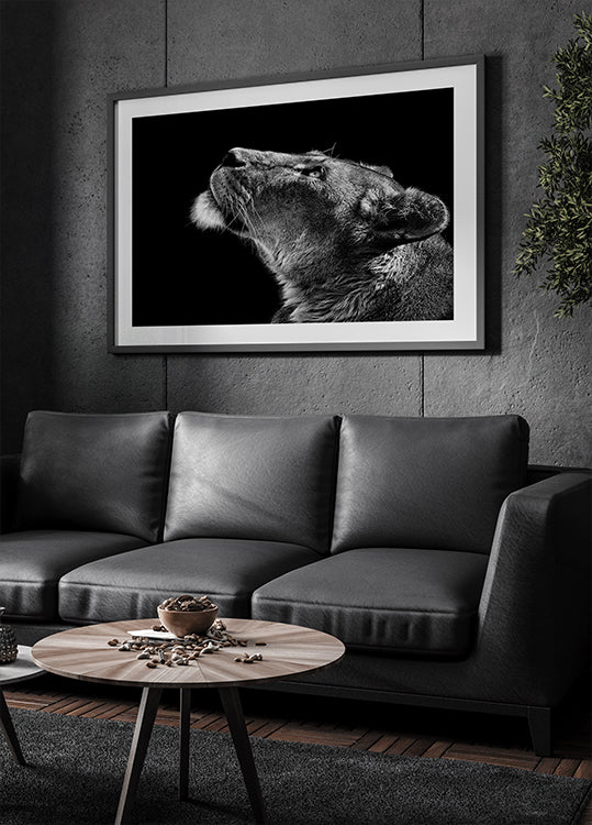 Regarder vers le haut Poster