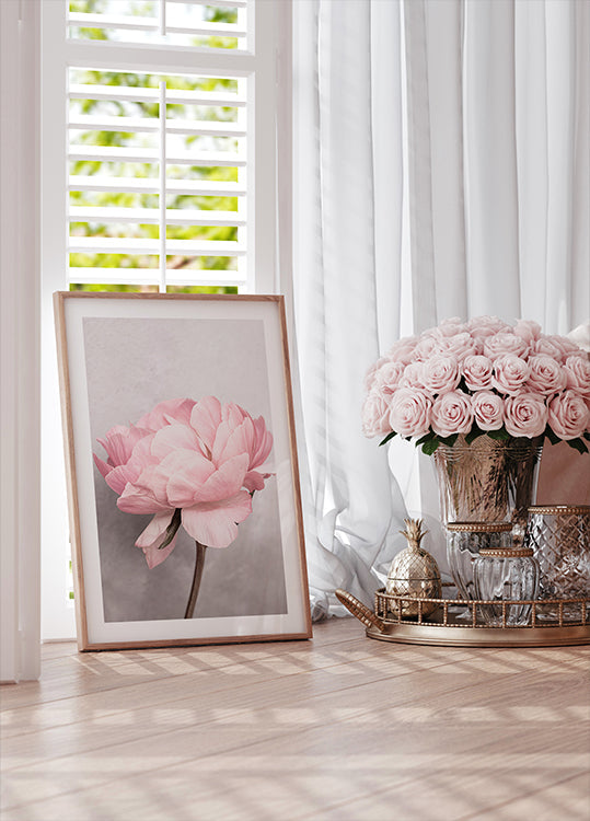 Pivoine