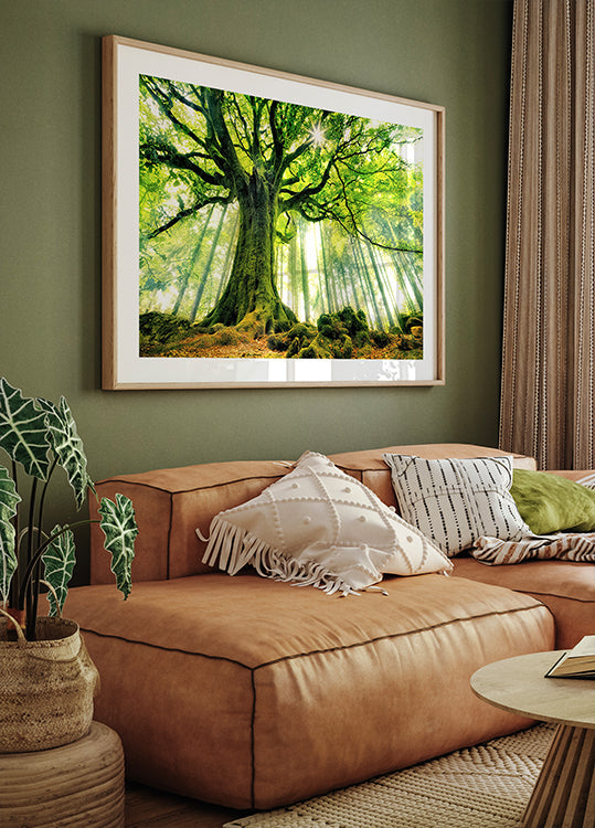 Le hêtre de Ponthus Poster