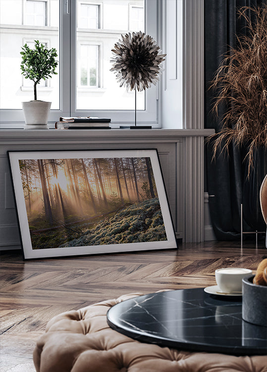 Poster Brouillard dans la forêt avec de la mousse blanche au premier plan