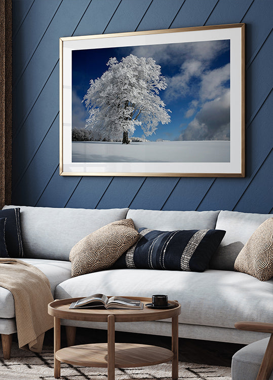 Windbuche blanc en Forêt-Noire