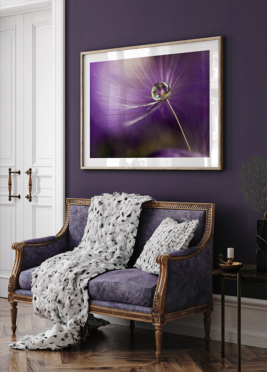 Dans les tons violets