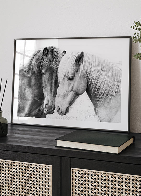 Amour de cheval Poster
