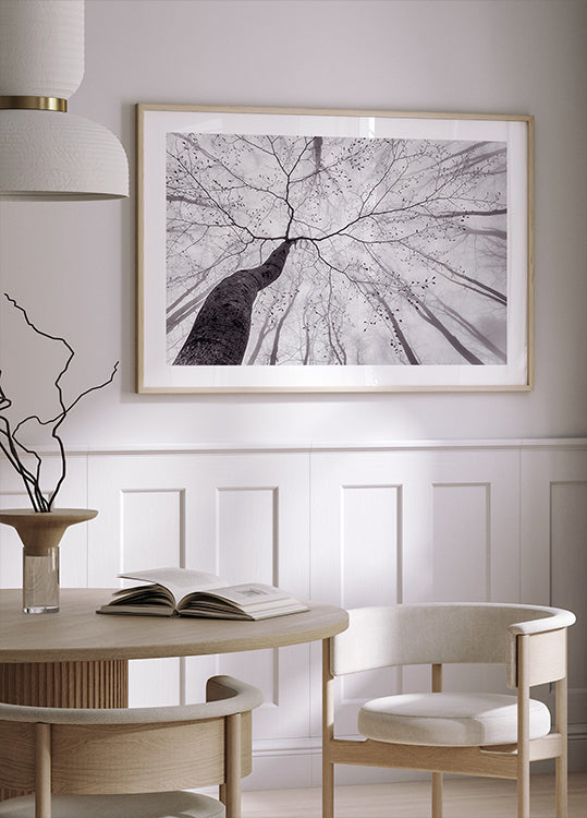 Poster Une vue de la cime des arbres