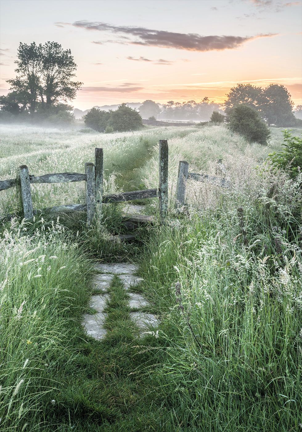 Misty Summer Dawn Plakat - Posterbox.dk