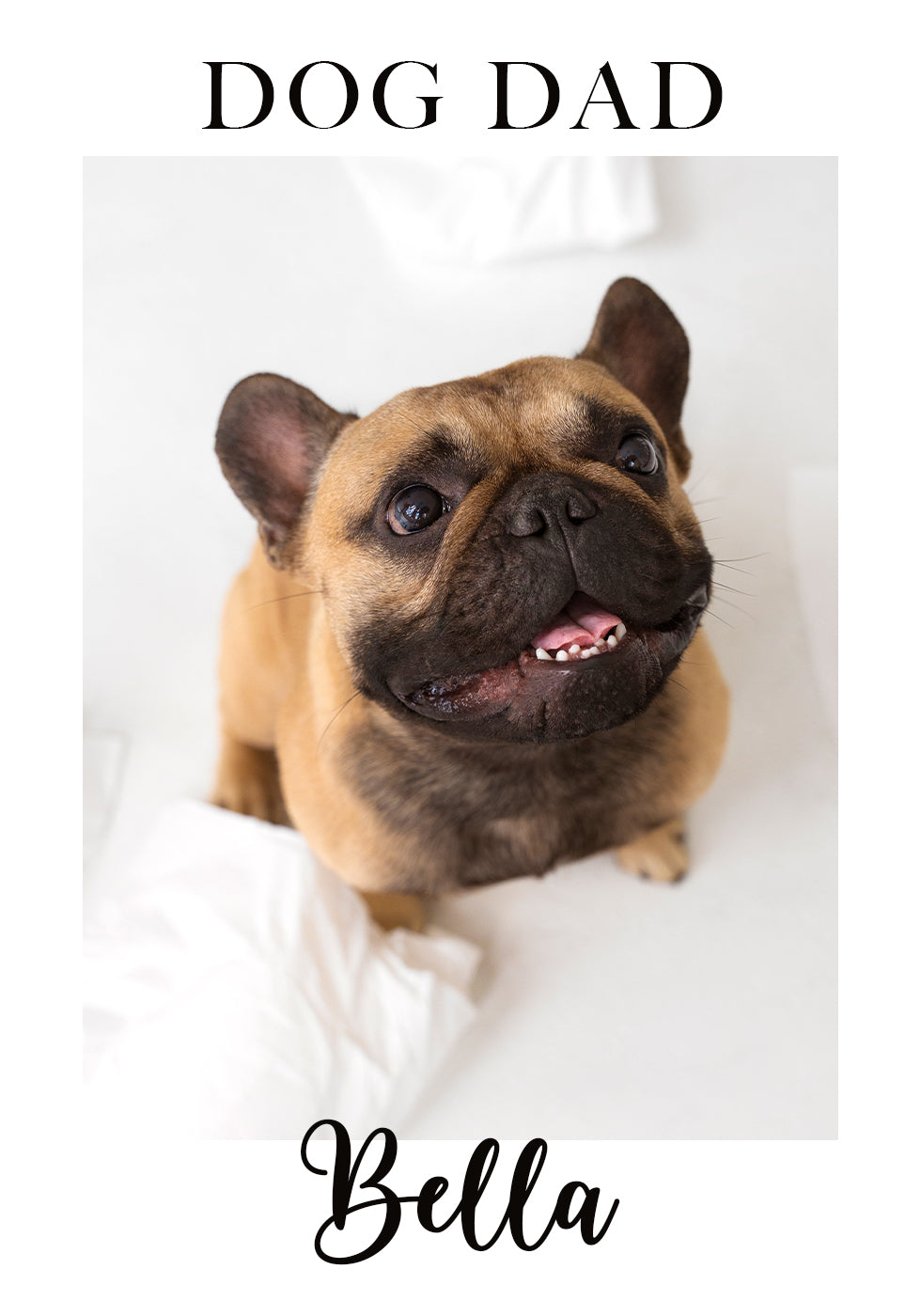 Personalized Pet Plakat - Posterbox.dk