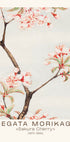 Sakura Cherry Japanese Blossom, Megata Morikaga 1870–1880 Plakat - Posterbox.dk
